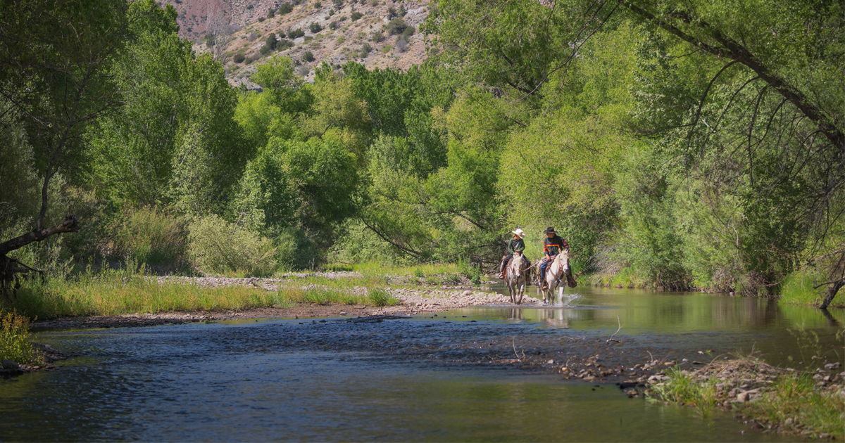 The Gila River - Gila Conservation Coalition