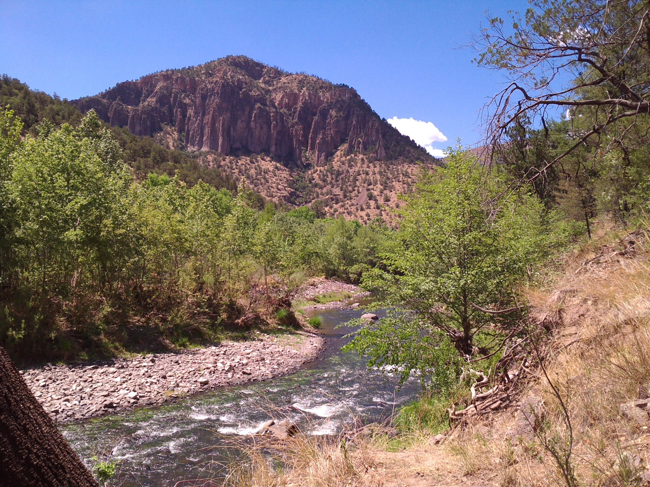 New Mexico senators unveil legislation to designate Gila River as ‘wild and scenic’