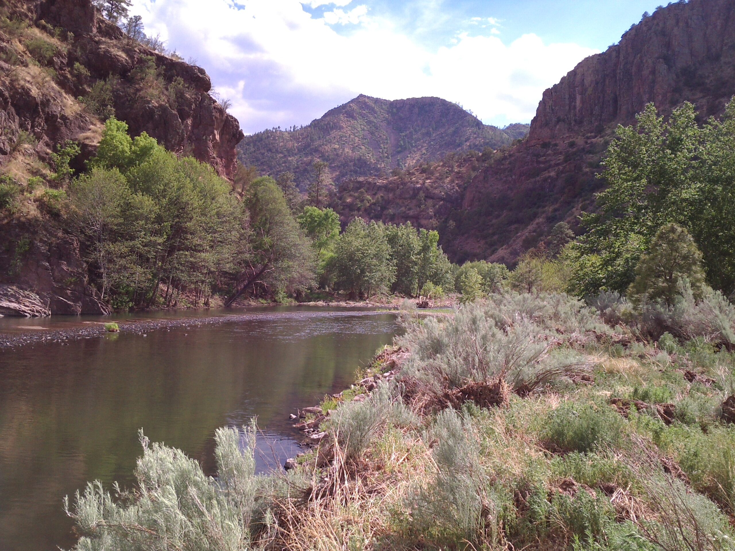 san francisco river arizona