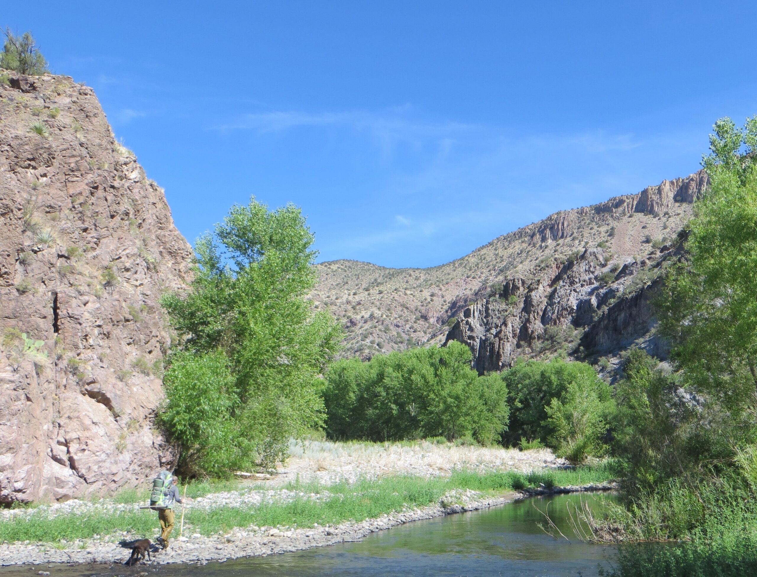 Study finds wild Gila and San Francisco rivers greatly contribute to local economy